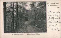 The Greylock Hotel, In Torrey's Woods Williamstown, MA Postcard Postcard Postcard