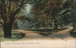 In Brooklawn Park New Bedford, MA Postcard Postcard Postcard