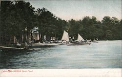 Lake Massabesic Back Pond Postcard