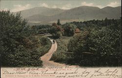 Franconia Range from the Carriage Road Postcard