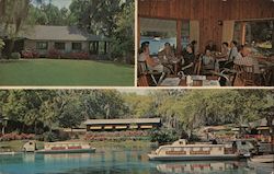 Rainbow Springs Postcard