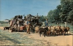 Chess McCartney's Goat Caravan Postcard