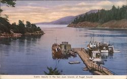 Scenic beauty in the San Juan Islands of Puget Sound Washington Postcard Postcard Postcard