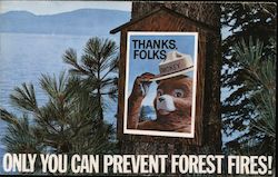 Only You Can Prevent Forest Fires! Advertising Postcard Postcard Postcard