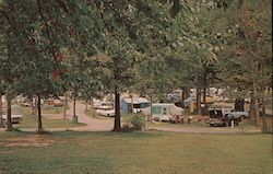 Shady Campgrounds Postcard