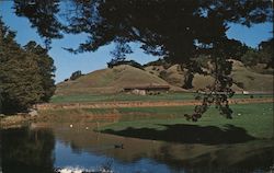 San Geronimo National Golf Course on Sir Frances Drake Boulevard Postcard