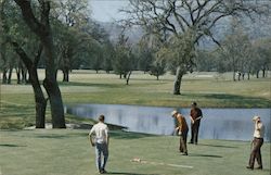 Sicuerado Country Club Postcard