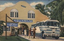 Municipal Aquarium Key West, FL Postcard Postcard Postcard