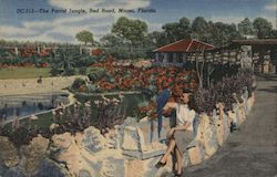 The Parrot Jungle, Red Road Postcard