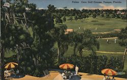 Palma Ceia Golf Course Tampa, FL Postcard Postcard Postcard