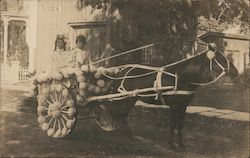 Children in Decorated Horse Cart Ulster County Fair Ellenville, NY Postcard Postcard Postcard