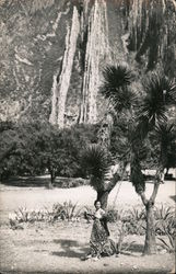 Woman Posing at Base of Palm Postcard