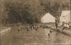 Girls Swimming in Pool at Camp Postcard