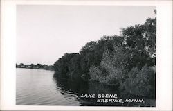 Lake Scene Erskine, MN Postcard Postcard Postcard