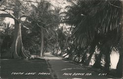 South Lake Trail Postcard