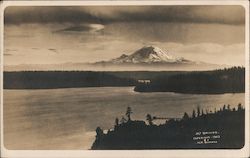 Mt. Rainier Washington Postcard Postcard Postcard