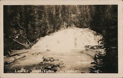 Lower Washington Cascades Postcard