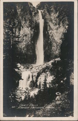 Comet Falls at Rainier National Park Mt Rainier, WA Postcard Postcard Postcard