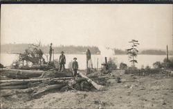 Logging Trees Postcard