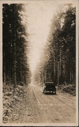 Auto Road, Rainier National Park Washington Mount Rainier National Park Postcard Postcard Postcard