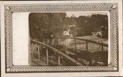 Cattle Being Driven Across Bridge Taunton, MA Postcard Postcard Postcard