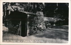 Tharp's Log Cabin, Giant Forest grove California Sequoia & Kings Canyon National Parks Postcard Postcard Postcard