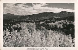 Miette River Valley - Jasper Park Postcard