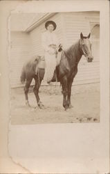 Man mounted on horse Postcard