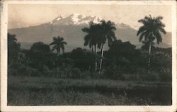 View of Snow Covered Mountains Postcard