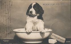 Ready for His Bath Postcard