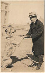 Man Greeting Dog Dogs Postcard Postcard Postcard