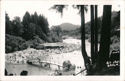 Rio Nido Beach on the Russian River Postcard