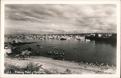 Fishing Fleet Postcard