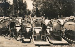 Floating Gardens Boats Postcard