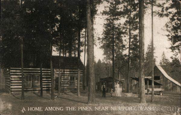 Home Among The Pines Newport Wa Postcard