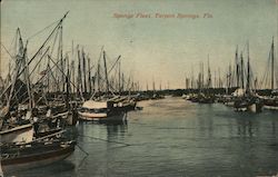 Sponge Fleet Tarpon Springs, FL Postcard Postcard Postcard