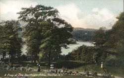 A Peep at the North WEst Arm Postcard