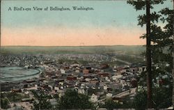 A Bird's Eye View of the City Bellingham, WA Postcard Postcard Postcard