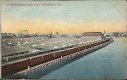 Philadelphia Stock Yard Pennsylvania Postcard Postcard Postcard