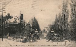 Hamilton Walk - Winter Scene - University of Pennsylvania Postcard