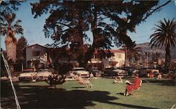 Pine Crest Lodge Postcard