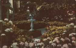 Chrysanthemum Display, Jewel Box - Forest park Postcard