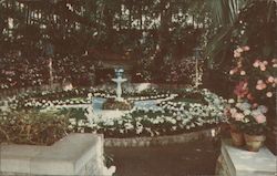 Easter Lily Display at Jewel Box Postcard