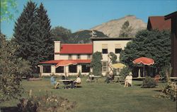 Homestead Restaurant and Dining Room Ontario Canada Postcard Postcard Postcard