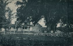 Historic Hunt Homestead and Liberty Tree Postcard