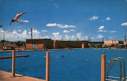 One of Many Swimming Pools Postcard