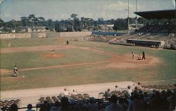 View of Stadium Postcard