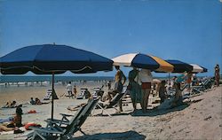 Umbrellas line the Riviera of the South Postcard