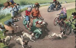 A Cat Walking Dogs Disrupts Cats Riding Bicycles & Motorcycles. Postcard Postcard Postcard