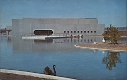 Swans and Ducks, Mystic Marinelife Aquarium Connecticut Postcard Postcard Postcard